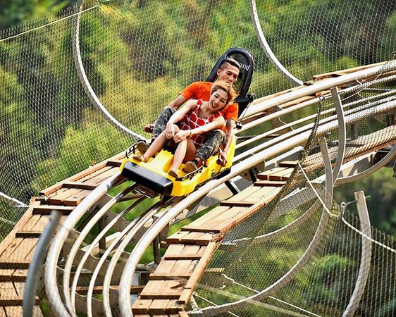 Pongyang Jungle Coaster