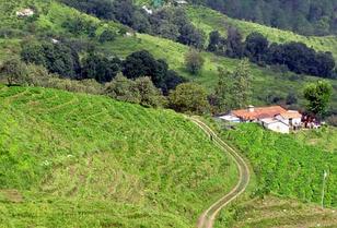 Ms8u3qmfk6mc0ipmb1ryqq3yfwpz 1550057269 chaubatia