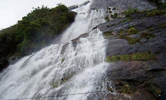 Eravikulam National Park Safari Image