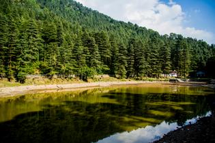 Muqp38v55zcnuz7ju6k5v1j4x1va shutterstock 1697860792