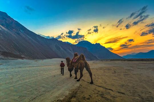 Women Special | Leh Ladakh Group Tour Image