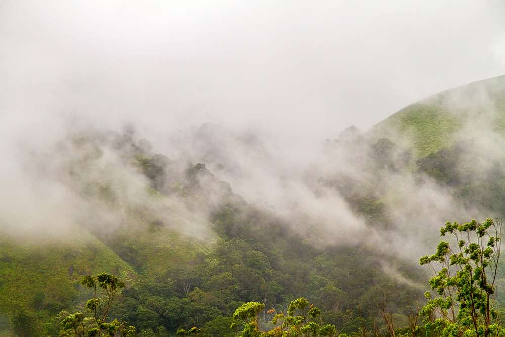 Jeep Safari From Munnar To Vattavada Image