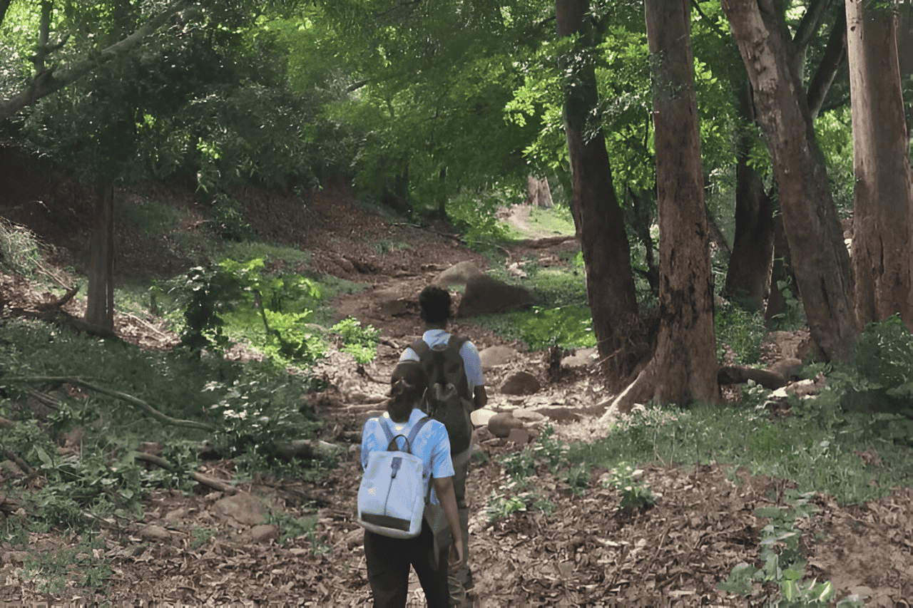 Enjoy a 2 hour trek to Chinnar in Tamil Nadu