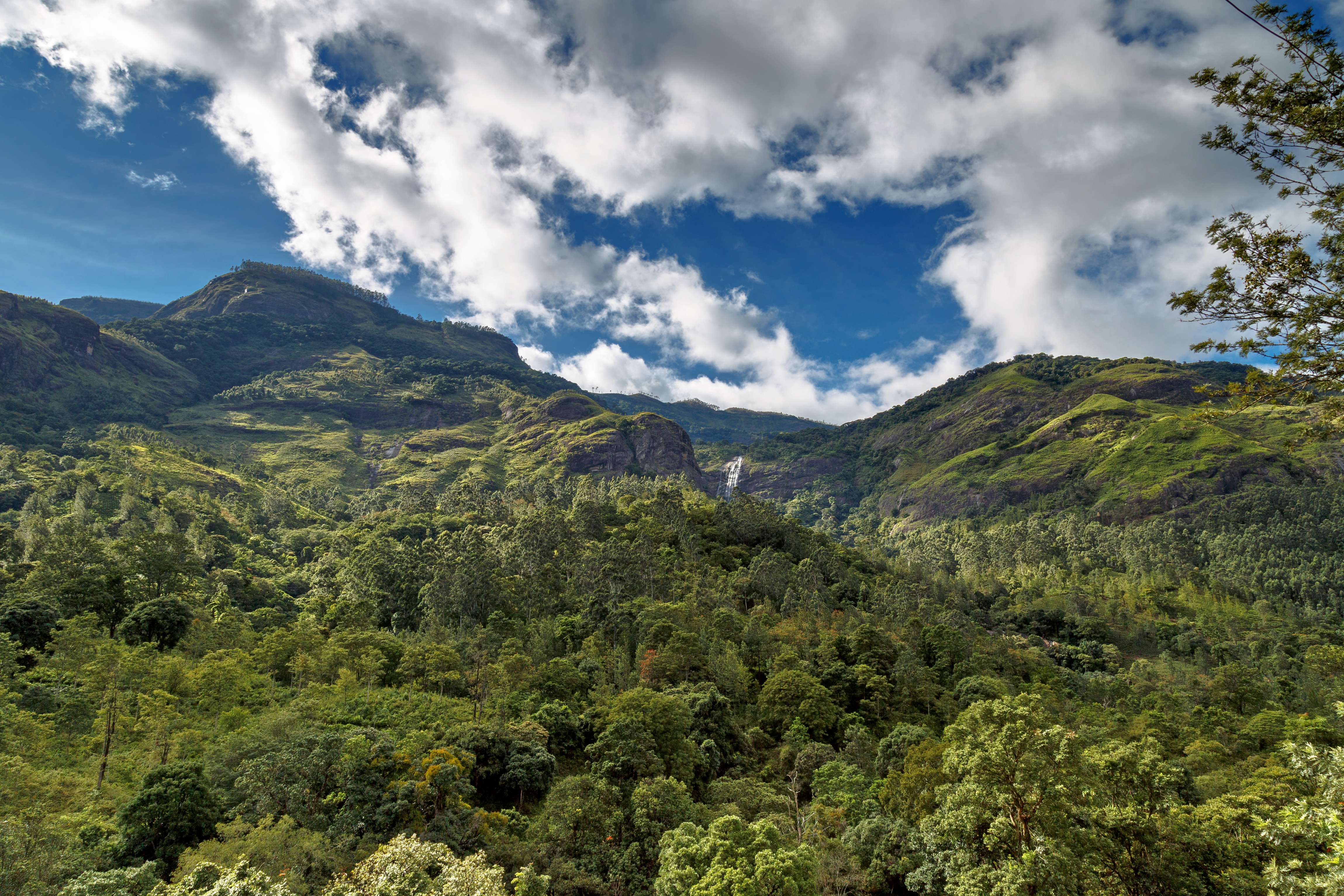 Munnar to Marayoor Sightseeing Tour