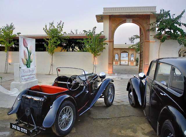 Rampratap Palace Udaipur Image