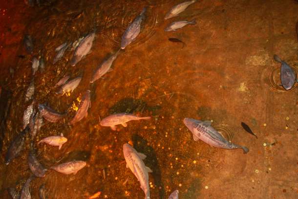 N21bh9rdv6kbufyfcyd7zo4fa0w2 shutterstock 1582045966