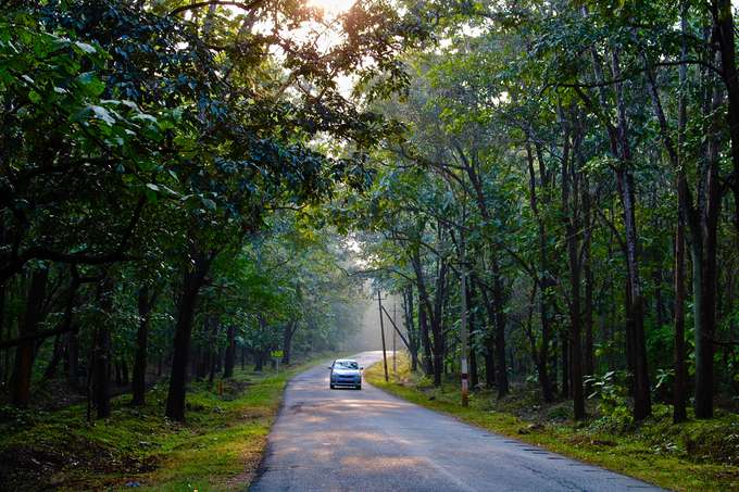 5 Days Dandeli Tour package