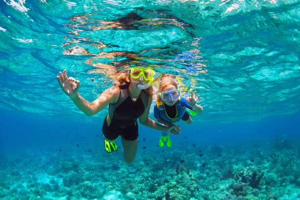 N2npc58o3ofsdbiy3cqy1stqf7d8 snorkeling