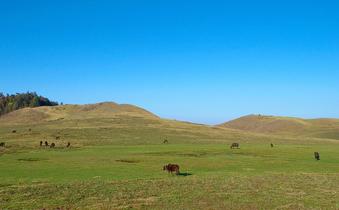 N2of0di83ulw6hqhg2re94is2tkp 14288145549 92acc736cc b