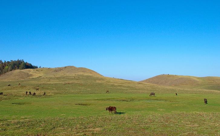 Khaptad National Park
