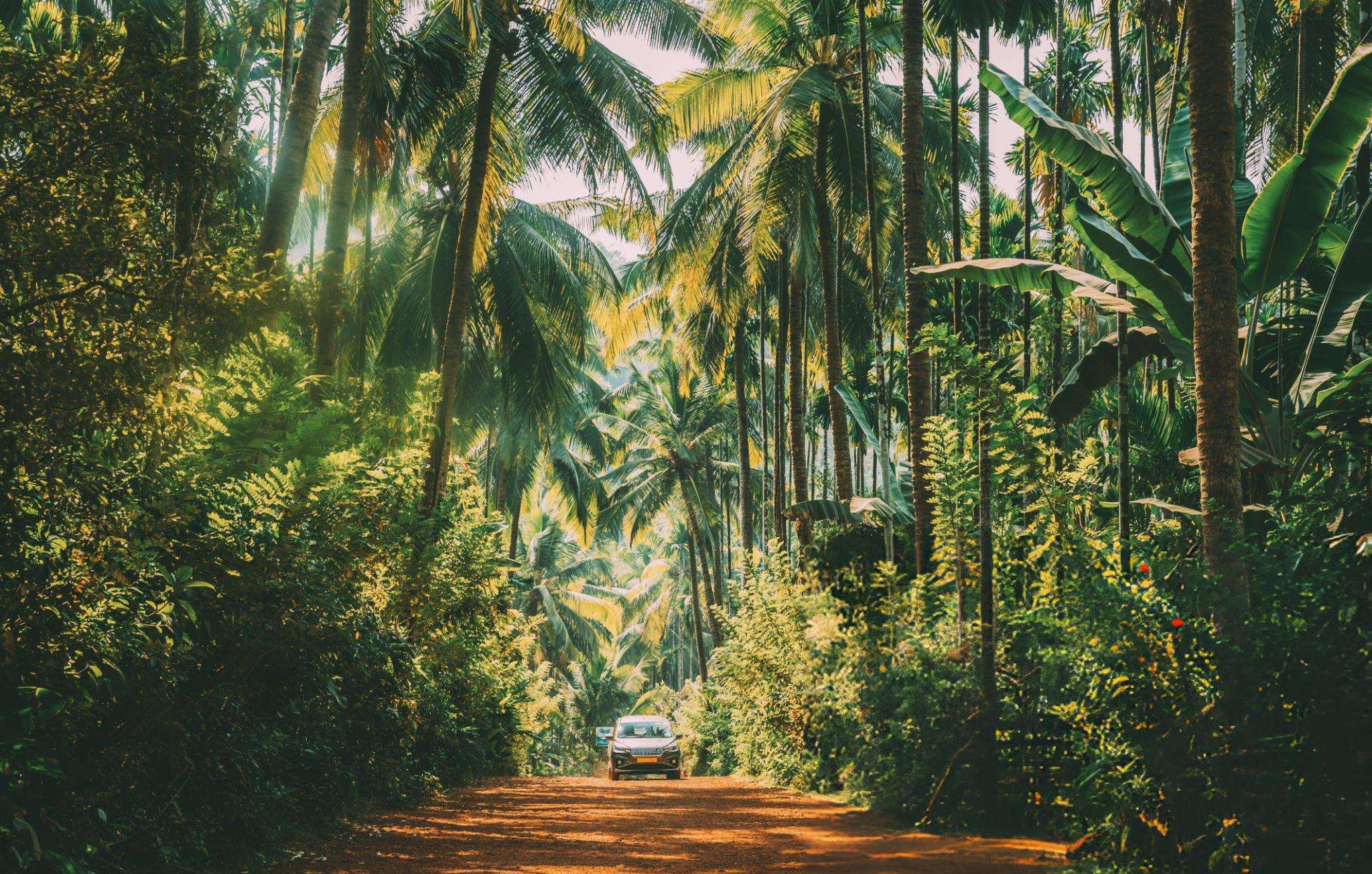 Admire the beauty of the scenic surroundings as you explore Goa on a rental car