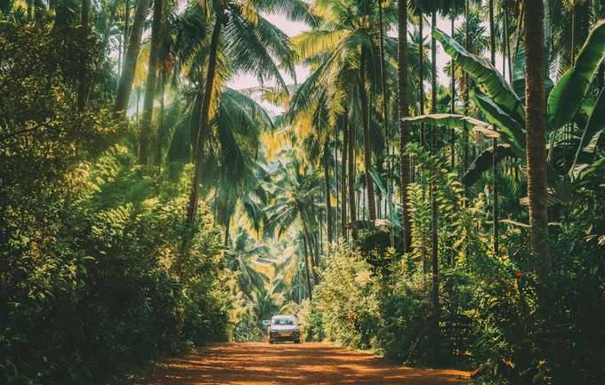 Admire the beauty of the scenic surroundings as you explore Goa on a rental car