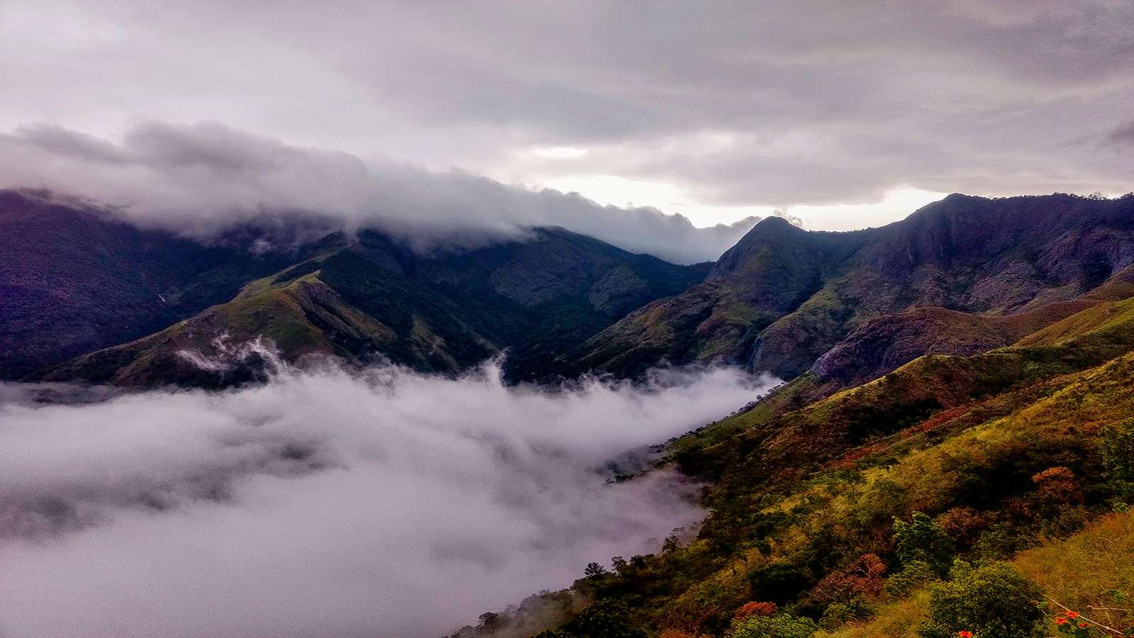 Kurinjini Top Station Trek From Chennai