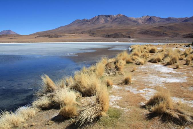 Laguna Hedionda, Bolivia