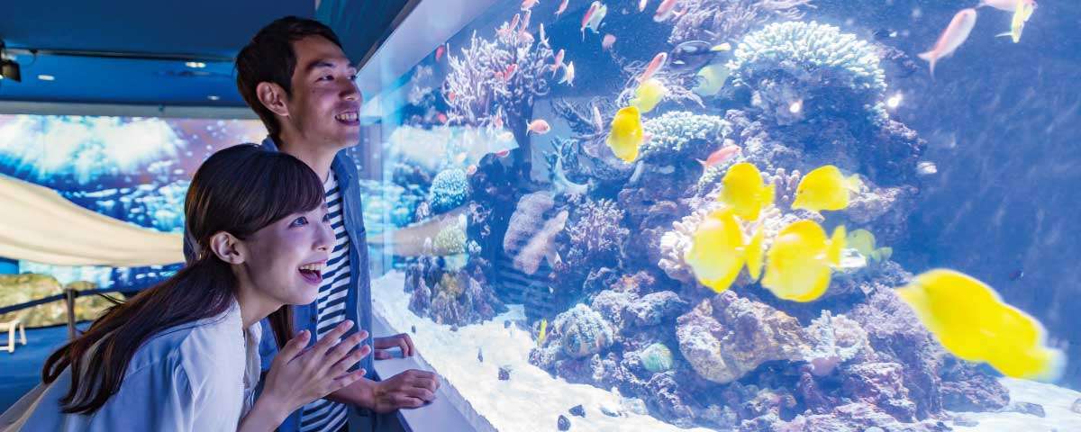 Yokohama Hakkeijima Sea Paradise Tickets Image