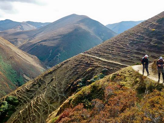 Bumthang Owl Trek Image