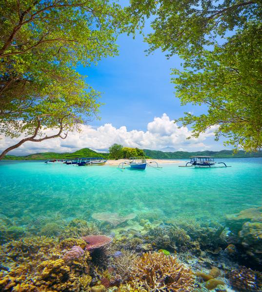 Snorkeling in Gili Island Image