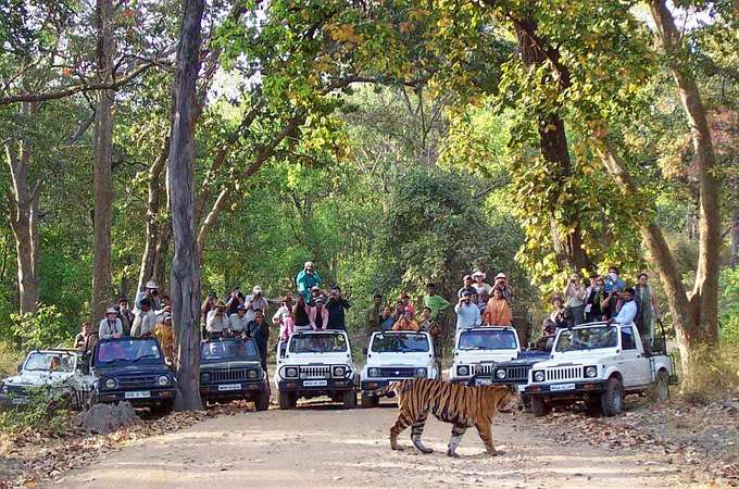 Chinnar Wildlife Sanctuary Jeep Safari