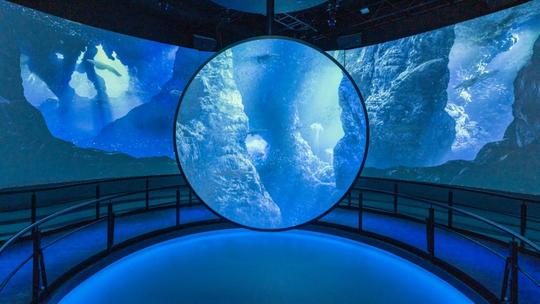 FlyOver Las Vegas Image