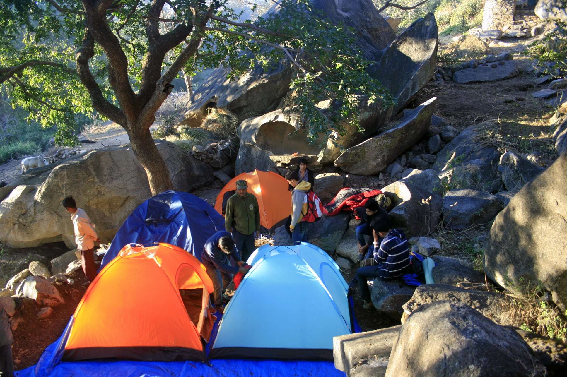 Book tickets for amazing camping activity and make some unforgettable memories to cherish