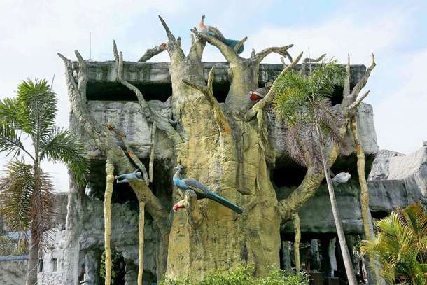 Na1l08twwg01vvm5vroloshiwzcm 1590336584 brys6