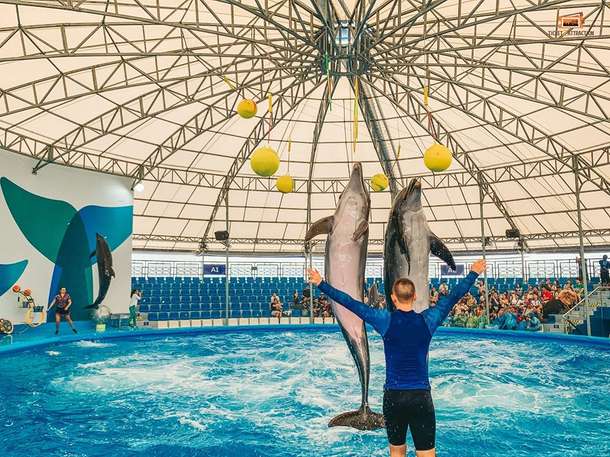 Nb0hugrm8d7ujf0zsuavz3on4p4c 6b1odb7y40f83xuk9wwh804up58f ticket2attracion%20(3)