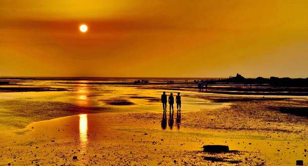 Nbf2mozbm9da4kxdwh5phxri8krq 1487579366 saurashtra 5