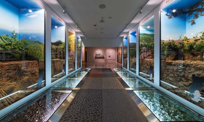 Visit World of Wine in Vila Nova de Gaia