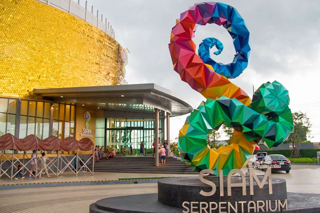 Siam Serpentarium Tickets Image