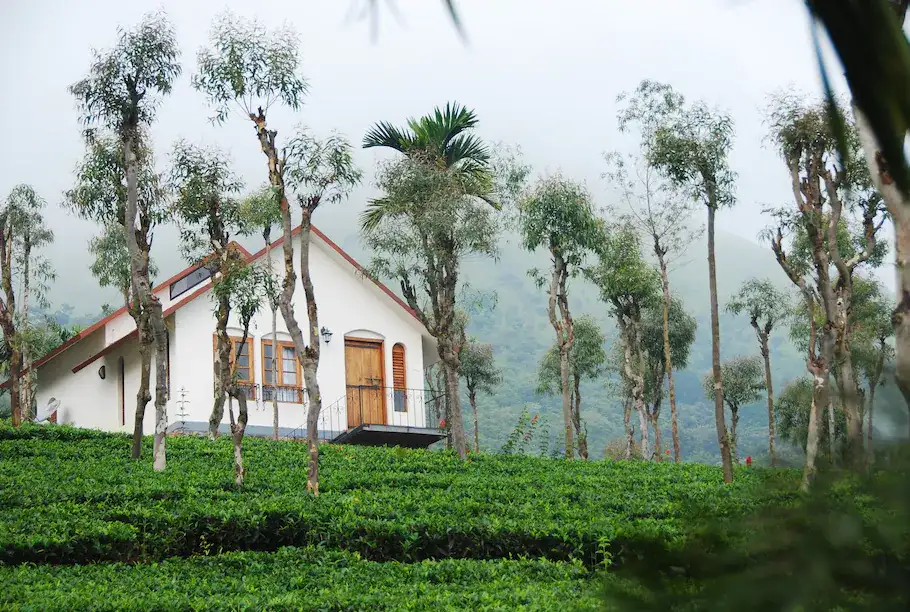 Tea Terrace Vythiri Image