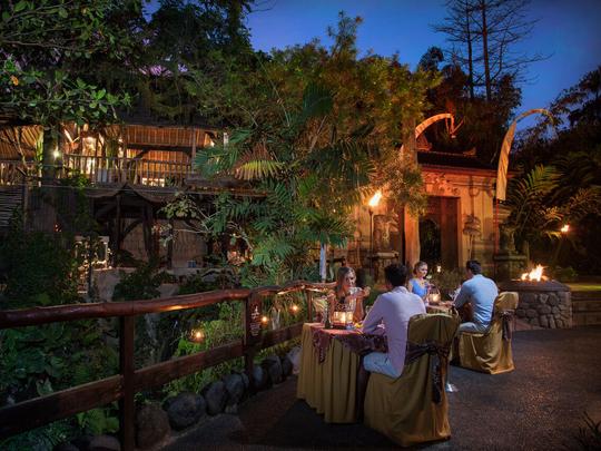 Bali Zoo: Night at The Zoo Experience Image