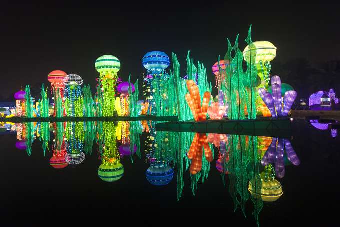Soak in the beauty of the spectacular art that glitters at night