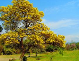 Nfv3dwtflxvo46f7um36v1clqrbk 1580295308 shutterstock 1465015136