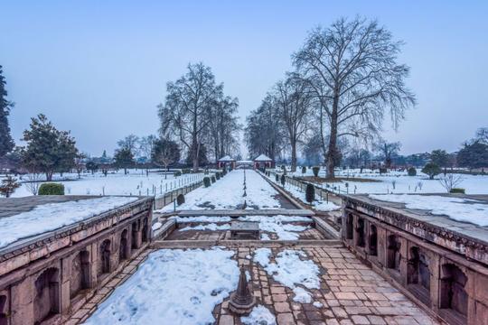 Magic of Srinagar | FREE Shikara Ride Image