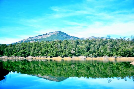 Ooty Tour Package From Coimbatore Image