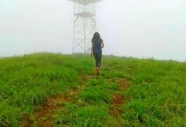 Pushpagiri Wildlife Sanctuary Safari Image