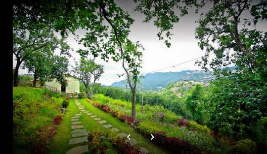 Camping Amidst Pear Orchard In Kodaikanal Image