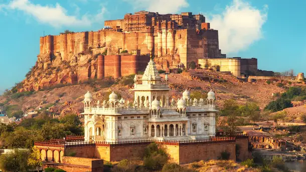 Nl5ivupddp1v4jm1j2y03h25mssp gn5curem15qezbq6vqlpw9ilx1m8 shutterstock 2374308785