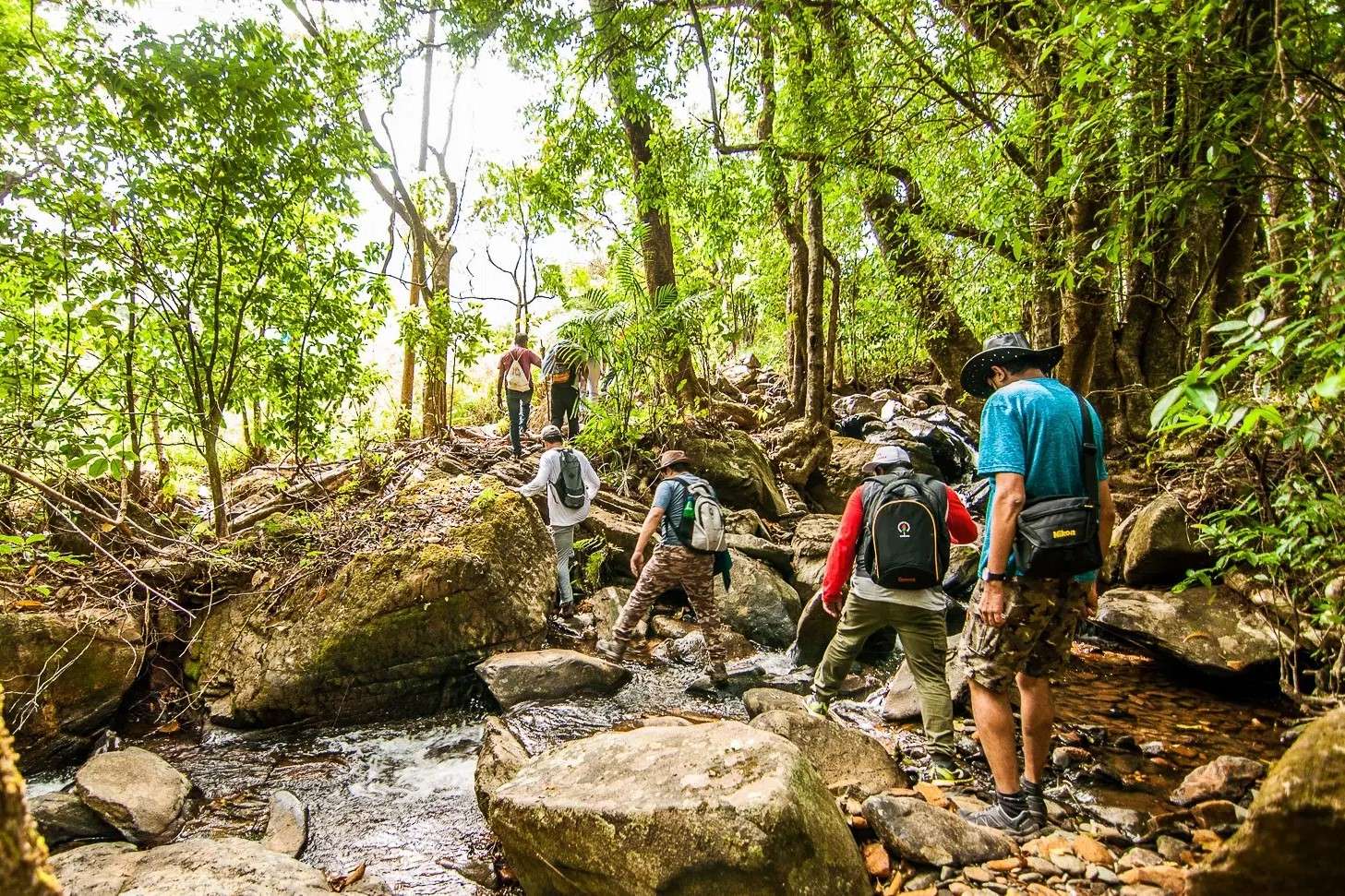 Netravati Trek Image