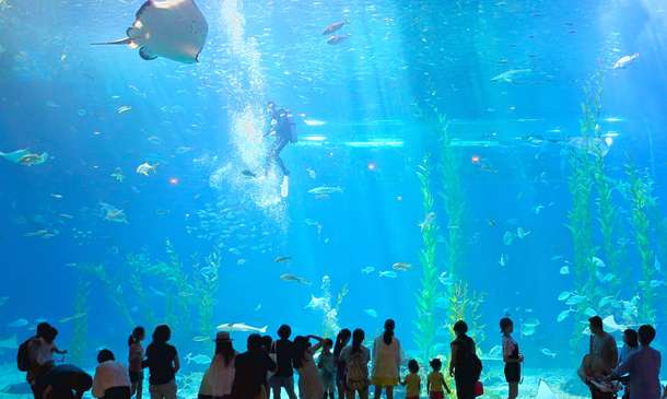 Nn9rtk6kv5fr1qwzene0r3dudigy 1591797771 shutterstock 570700963