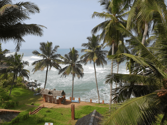 Soma Palmshore Image