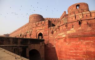 Immerse in the rich history of the city at Agra Fort