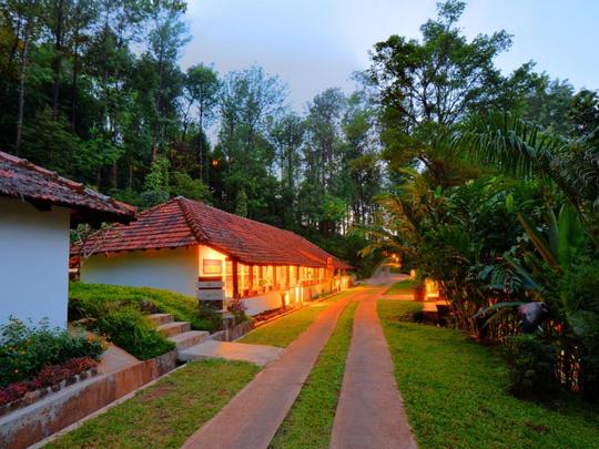 Tamara Coorg Image