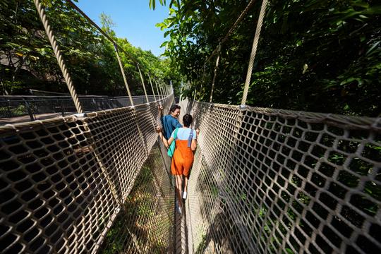 Rainforest Wild ASIA Tickets Image