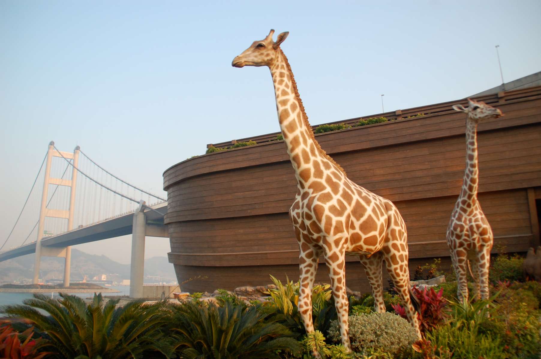 Noahs Ark Hong Kong Tickets Image