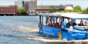 Nsub5rfpq6lhg6o8yg49r4qsv6vb 1588575080 1