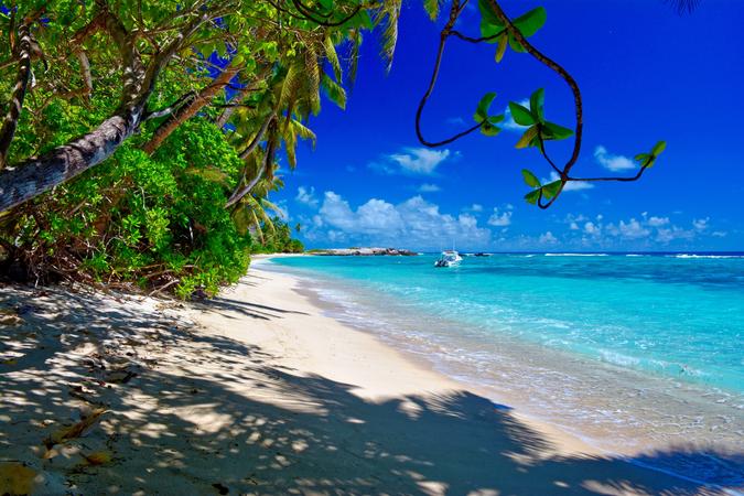 Anse Forbans And Anse Marie Louise