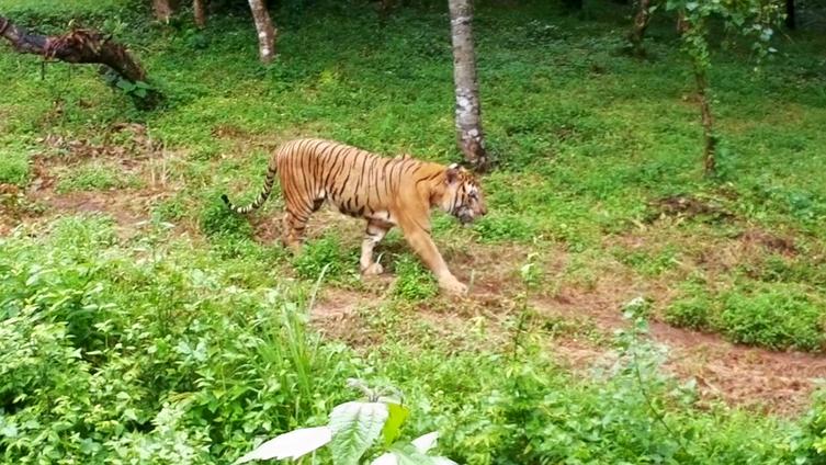 Pilikula Nisargadhama