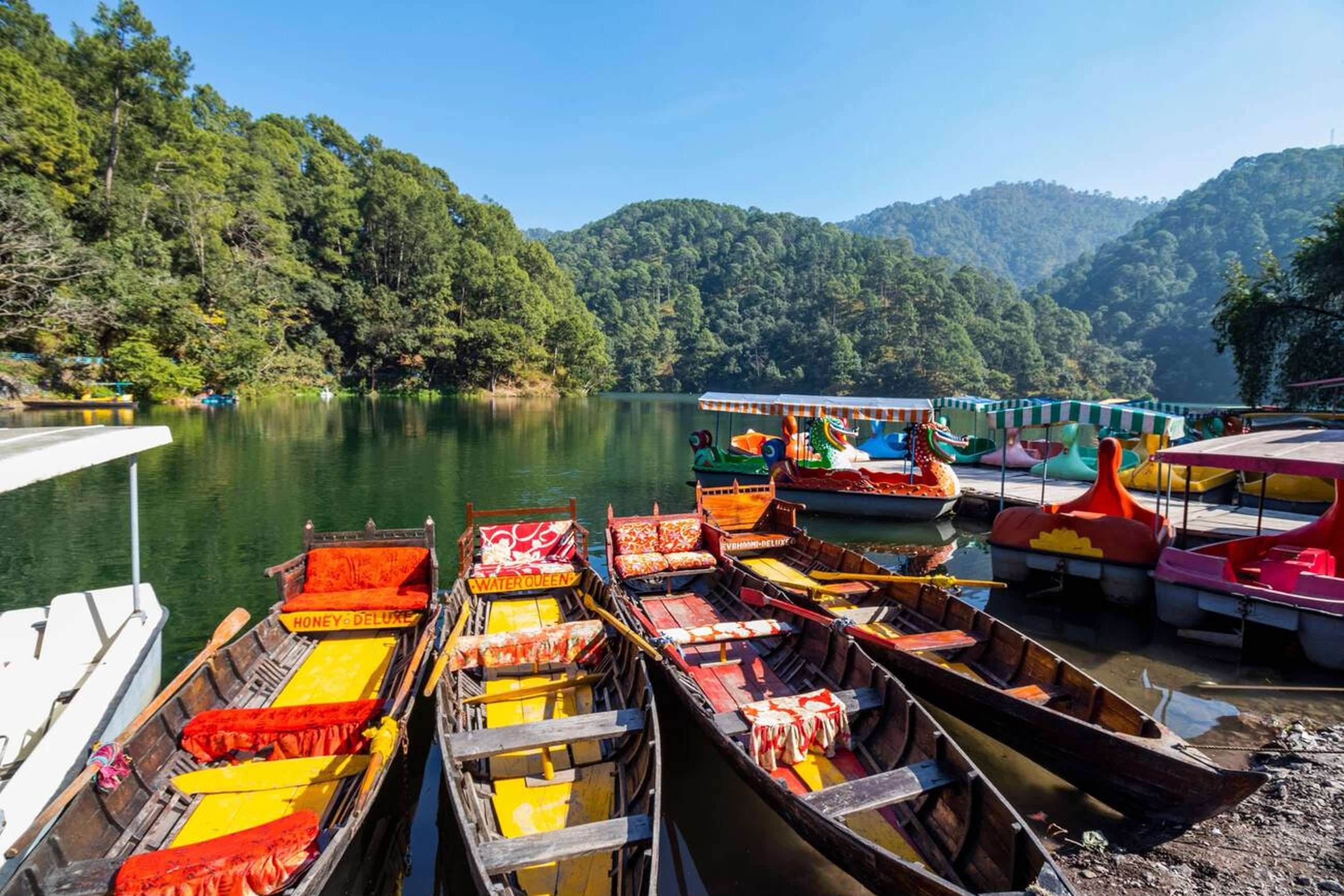 Admire the lush greenery surrounding the lake