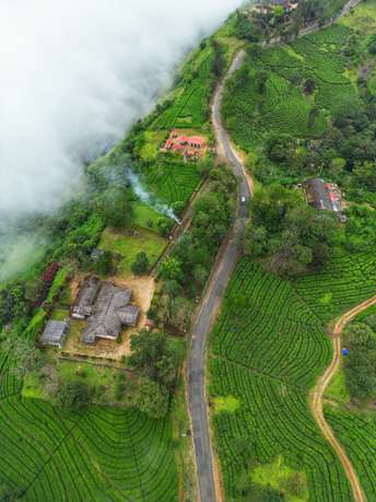 Nzugb9pbyrnpmhjzfc0qfzx40tyq vertical%20munnar